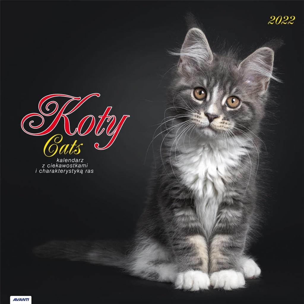 Kalendarz 2022 albumowy duży Kalendarz Koty z ciekawostkami KAD9