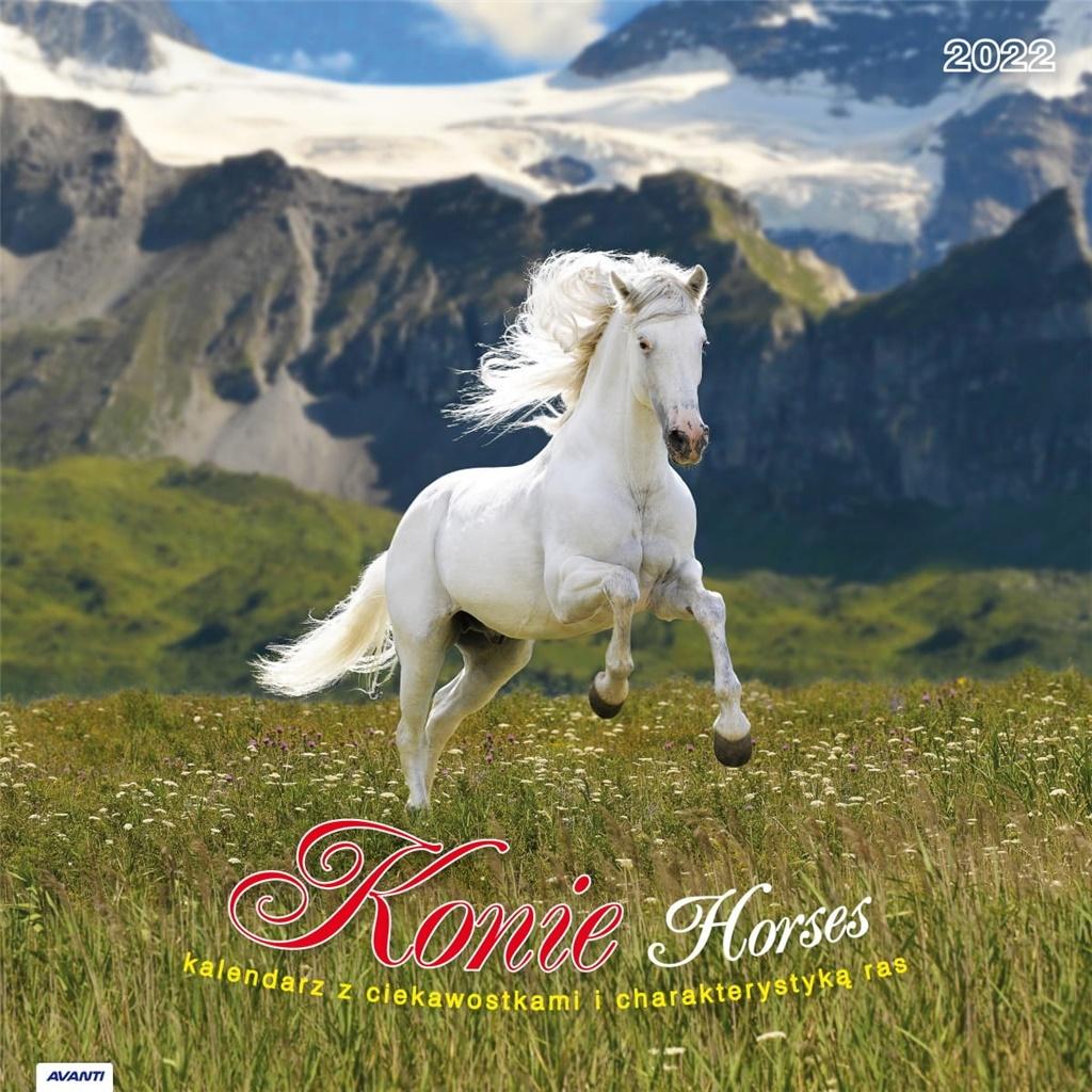 Kalendarz 2022 albumowy duży Konie z ciekawostkami KAD11
