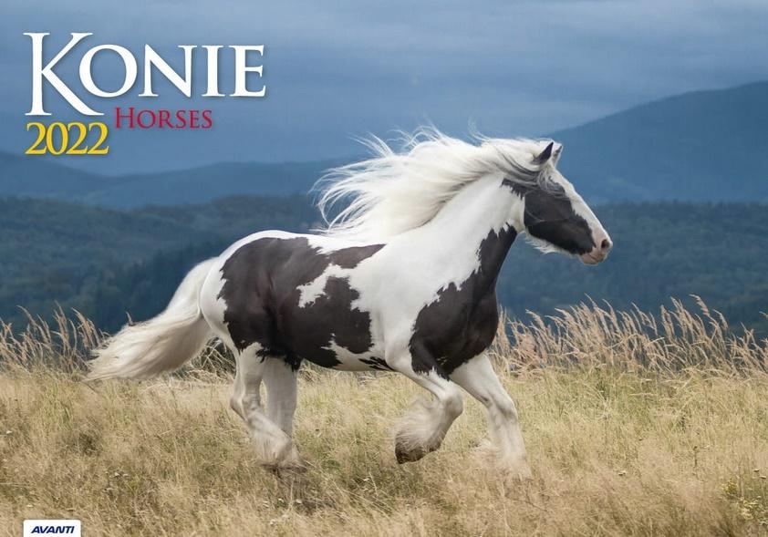 Kalendarz 2022 albumowy Konie KA10