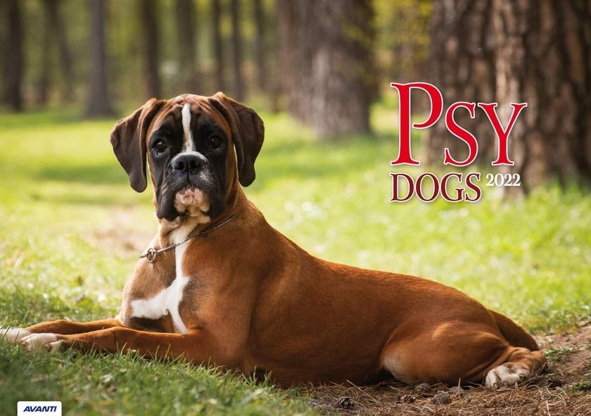 Kalendarz 2022 albumowy Psy KA2