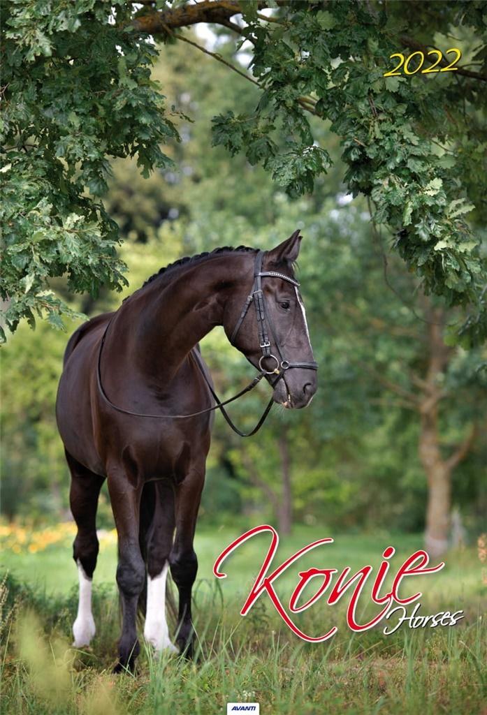 Kalendarz 2022 Konie A32