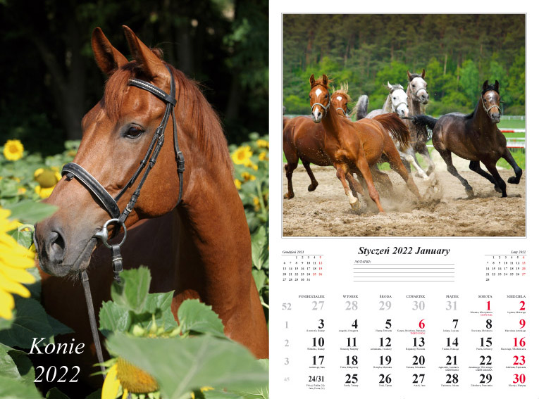 Kalendarz 2022 Konie ścienny 13-k