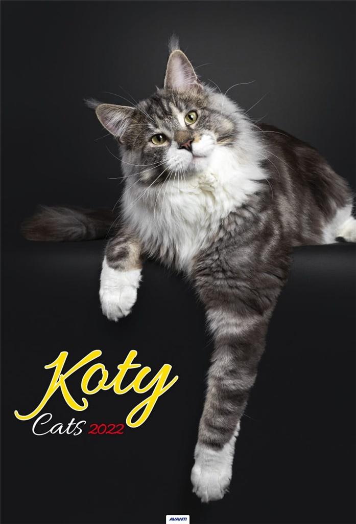 Kalendarz 2022 Koty A313