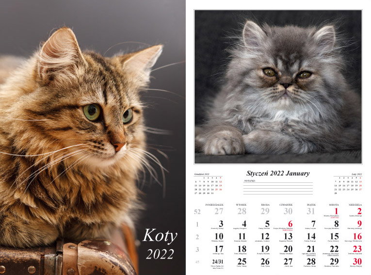 Kalendarz 2022 Koty ścienny 7-k