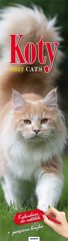 Kalendarz 2022 paskowy Koty KP2