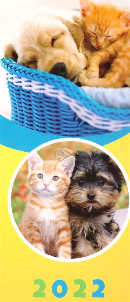 Kalendarz 2022 paskowy Przyjaciele Kolor