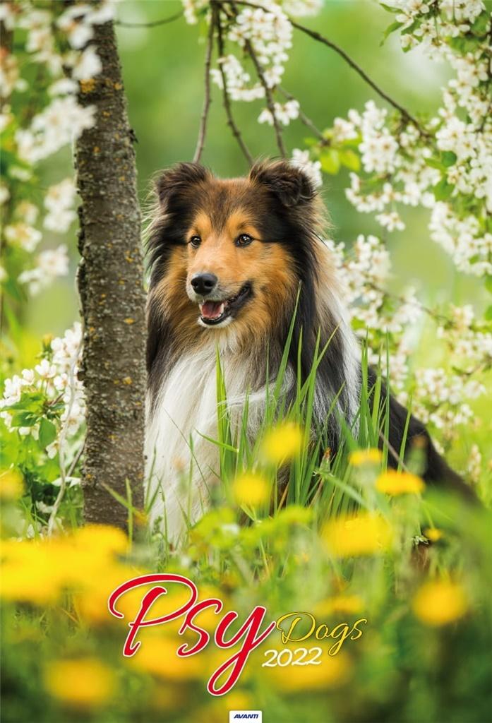 Kalendarz 2022 Psy A314