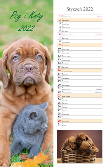Kalendarz 2022 Psy i Koty pasek