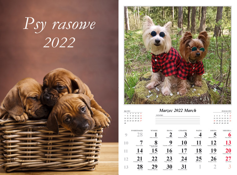 Kalendarz 2022 Psy rasowe ścienny 13-k