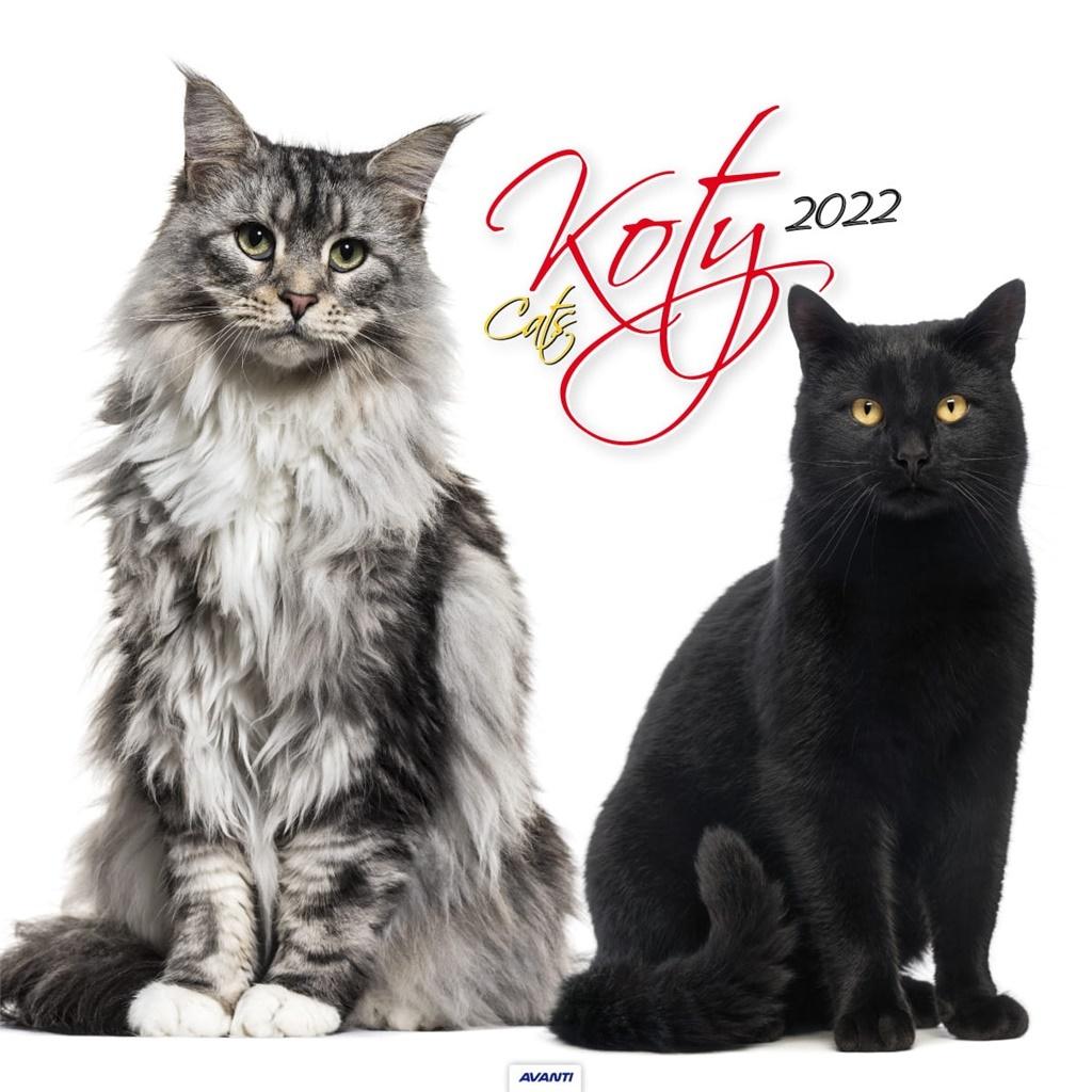 Kalendarz 2022 ścienny duży Koty KD21