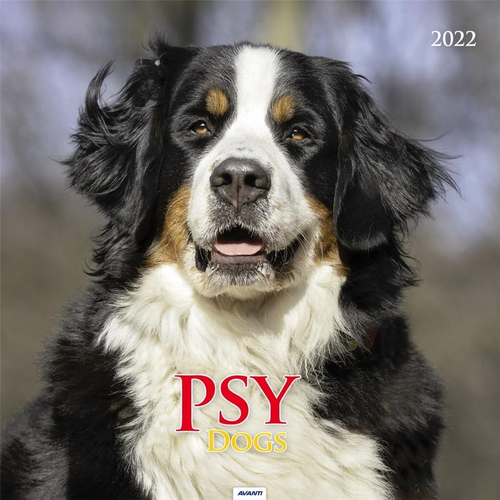 Kalendarz 2022 ścienny duży Psy KD20