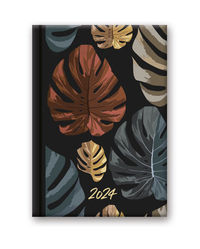 Kalendarz 2024 41DS Soft B6 Monstera
