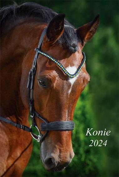 Kalendarz 2024 ścienny 13-K Konie