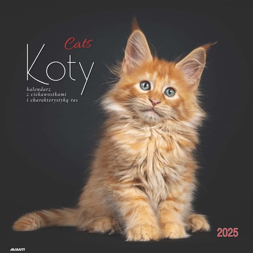 Kalendarz 2025 Albumowy Duży Koty z ciekawostkami i charakterystyką ras