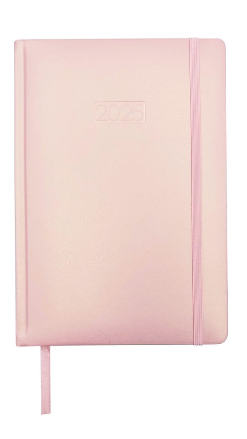 Kalendarz 2025 Dzienny A5 LUX V9 Metalic