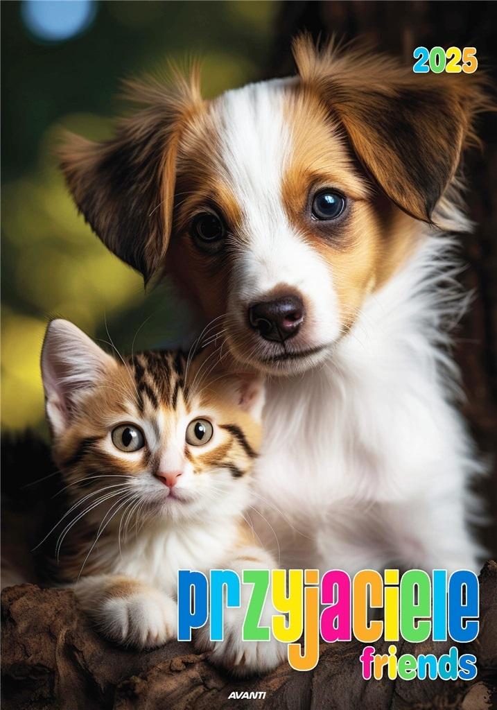 Kalendarz 2025 Ścienny Spirala Przyjaciele