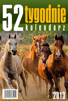 Kalendarz biurkowy stojący 2013  Mustangi