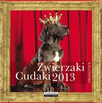 Kalendarz Classic  Zwierzaki Cudaki  2013
