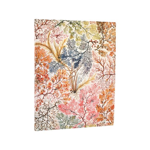 Kalendarz Paperblanks 2026 Anemone BUS Ultra