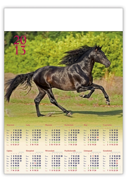 Kalendarz plakatowy Rumak 2013