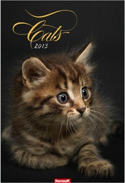 Kalendarz planszowy 2013 Cats (BPZ)