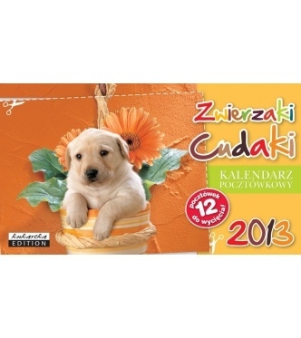 Kalendarz pocztówkowy Zwierzaki Cudaki 2013