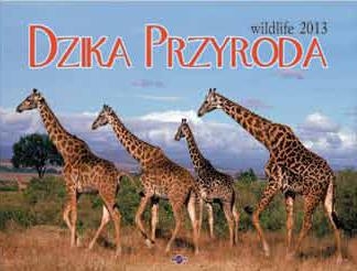 Kalendarz poprzeczny 2013 Dzika przyroda
