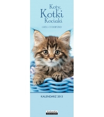 Kalendarz Slim Koty, kotki, kociaki... 2013