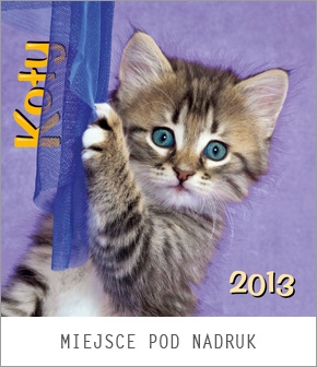 Kalendarz spiralowany 2013 Koty
