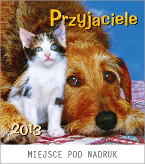 Kalendarz spiralowany 2013 Przyjaciele