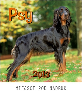 Kalendarz spiralowany 2013 Psy