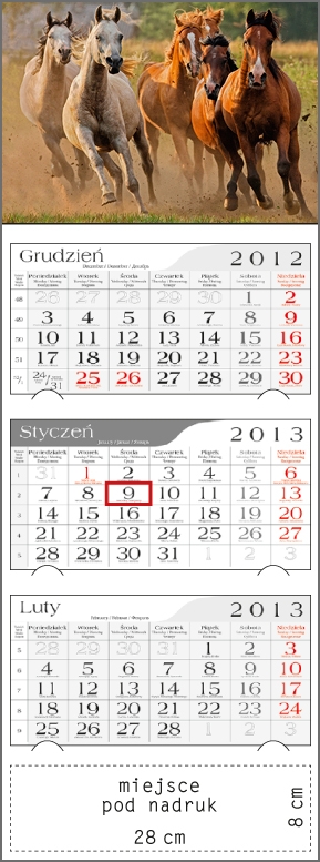 Kalendarz trójdzielny 2013 Konie w galopie