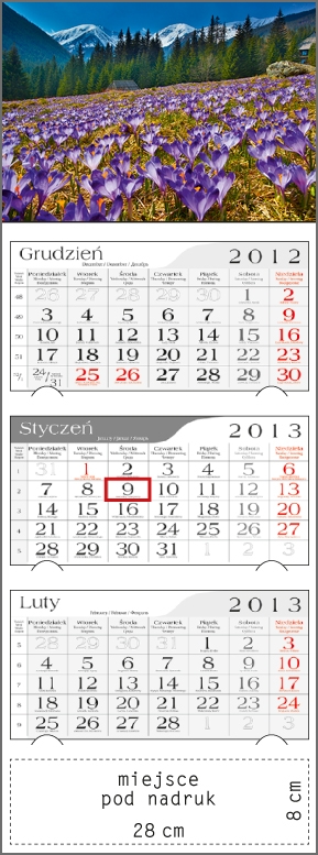 Kalendarz trójdzielny 2013 Krokusowa polana