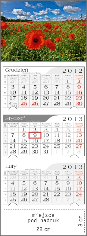 Kalendarz trójdzielny 2013 Polna łąka