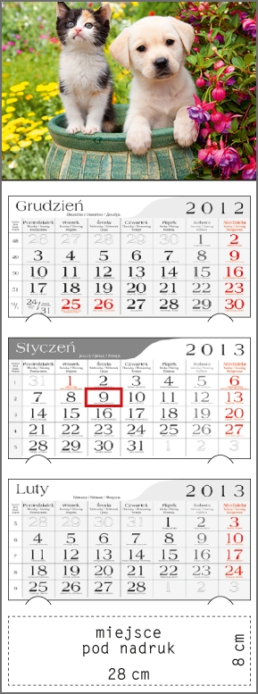 Kalendarz trójdzielny 2013 Przyjaciele
