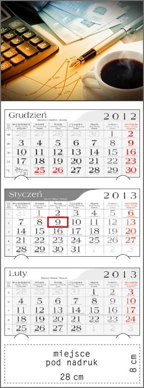 Kalendarz trójdzielny 2013 Rachunki i finanse