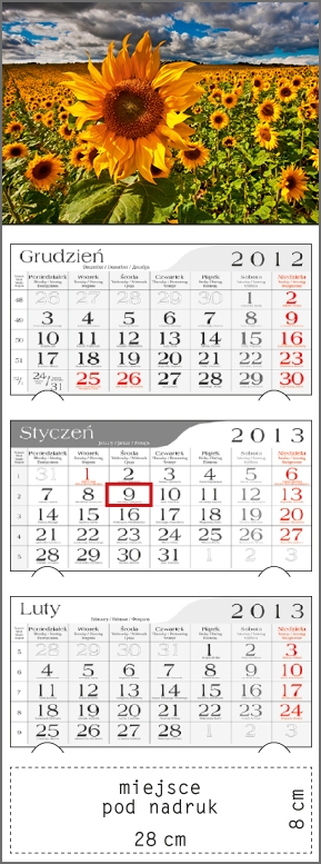 Kalendarz trójdzielny 2013 Słoneczniki