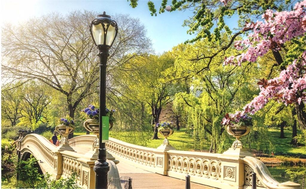 Kalendarz trójdzielny 2022 Łazienki Królewskie