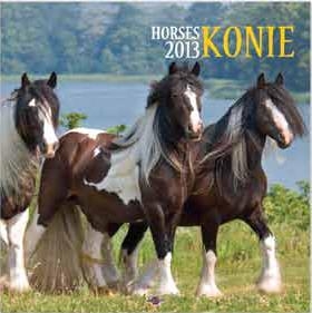 Kalendarz wieloplanszowy 2013 Konie