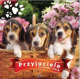 Kalendarz wieloplanszowy 2013 Przyjaciele