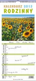 Kalendarz wieloplanszowy średni 2013 Rodzinny