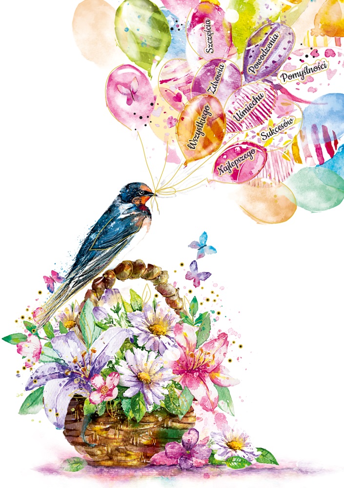 Karnet B6 HS Balony ptak