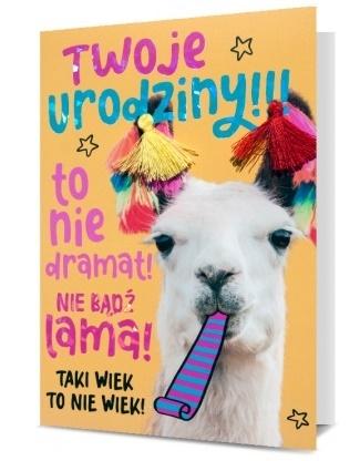Karnet B6 Twoje urodziny HM200-1837