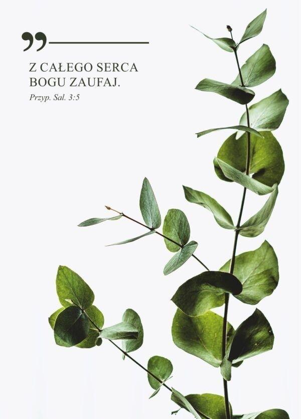 Karnet - Z całego serca Bogu zaufaj - gałązka