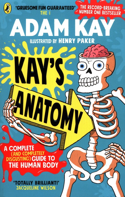Kay's Anatomy