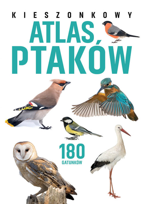 Kieszonkowy atlas ptaków.