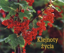 KLEJNOTY ŻYCIA