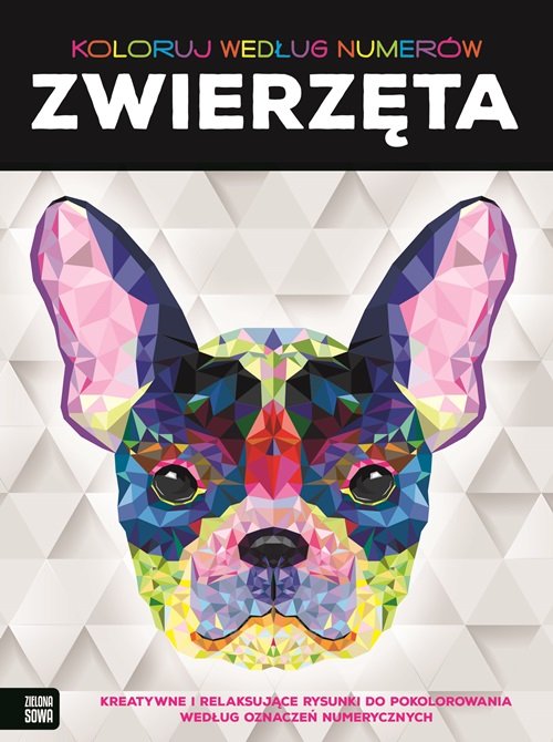 Koloruj według numerów