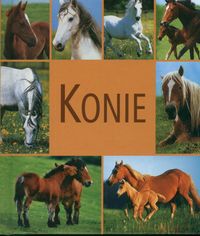 Konie