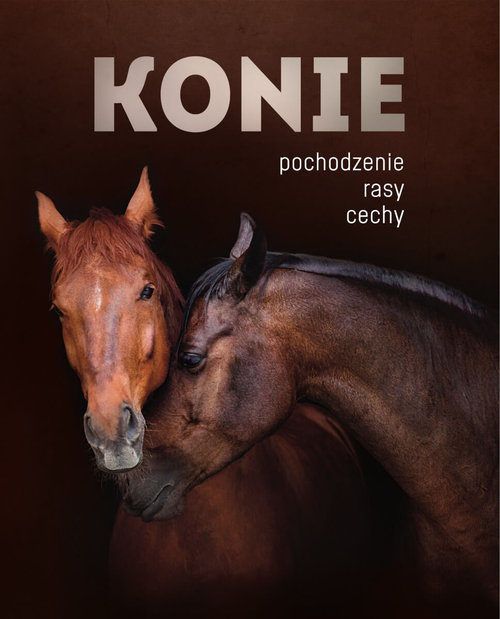 Konie